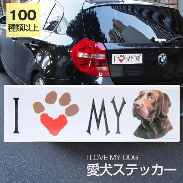 XebJ[ uh[g[o[i`R[gj  h OXebJ[ ACu op[XebJ[ X[cP[XV[ V[ J[XebJ[ 