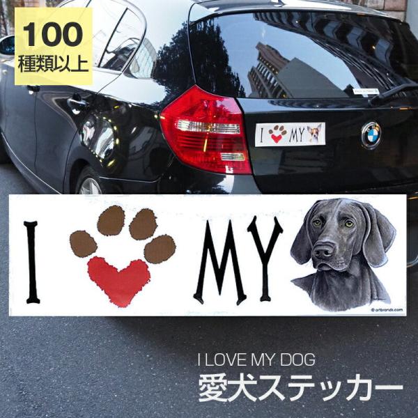 XebJ[ C}i[  h OXebJ[ ACu op[XebJ[ X[cP[XV[ V[ J[XebJ[  oCN hbO  