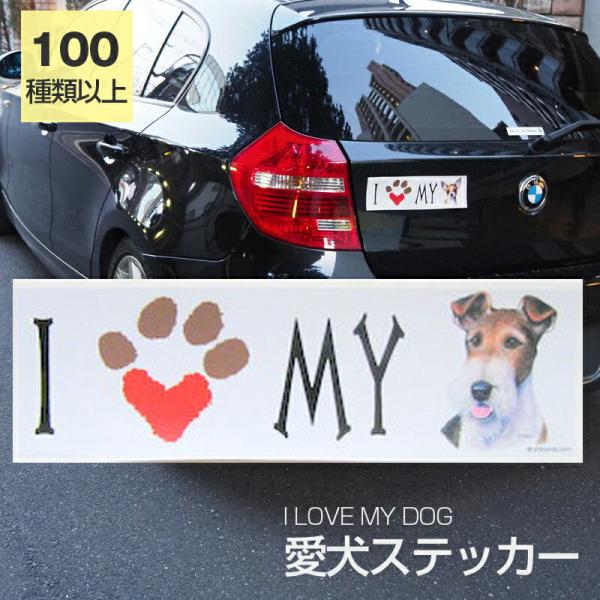 XebJ[ C[tHbNXeA  h OXebJ[ ACu op[XebJ[ X[cP[XV[ V[ J[XebJ[  oCN hbO