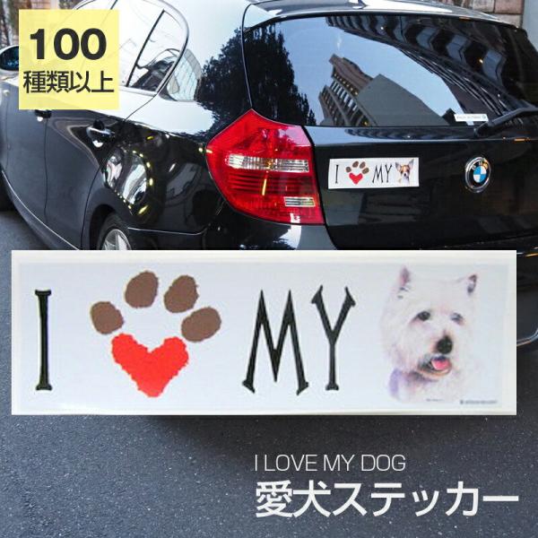 XebJ[ EGXgnChzCgeA EGXeB[  h OXebJ[ ACu op[XebJ[ X[cP[XV[ V[ J[XebJ[