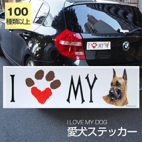 XebJ[ O[gf[itH[j  h OXebJ[ ACu op[XebJ[ X[cP[XV[ V[ J[XebJ[  oCN hbO