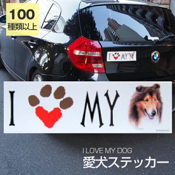 XebJ[ R[  h OXebJ[ ACu op[XebJ[ X[cP[XV[ V[ J[XebJ[  oCN hbO   G