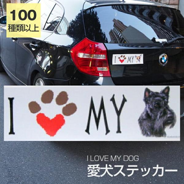 XebJ[ XReBbVeA  h OXebJ[ ACu op[XebJ[ X[cP[XV[ V[ J[XebJ[  oCN hbO 