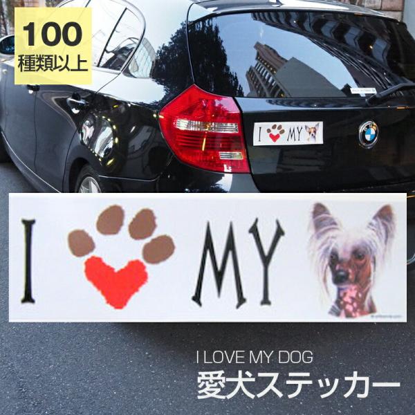 XebJ[ `Cj[YNbZbh  h OXebJ[ ACu op[XebJ[ X[cP[XV[ V[ J[XebJ[  oCN hbO