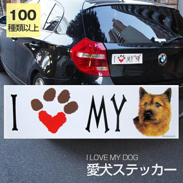 XebJ[ m[EBb`eA m[b`eA  h OXebJ[ ACu op[XebJ[ X[cP[XV[ V[ J[XebJ[  oCN