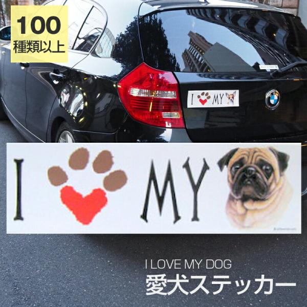 XebJ[ pO  h OXebJ[ ACu op[XebJ[ X[cP[XV[ V[ J[XebJ[  oCN hbO   ObY