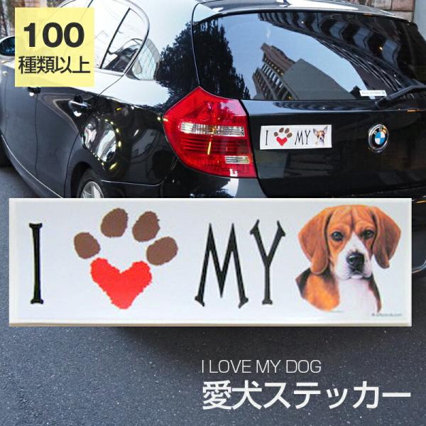 XebJ[ r[O  h OXebJ[ ACu op[XebJ[ X[cP[XV[ V[ J[XebJ[  oCN hbO  