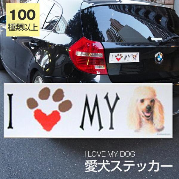 XebJ[ v[hinj[j  h OXebJ[ ACu op[XebJ[ X[cP[XV[ V[ J[XebJ[  oCN hbO  G