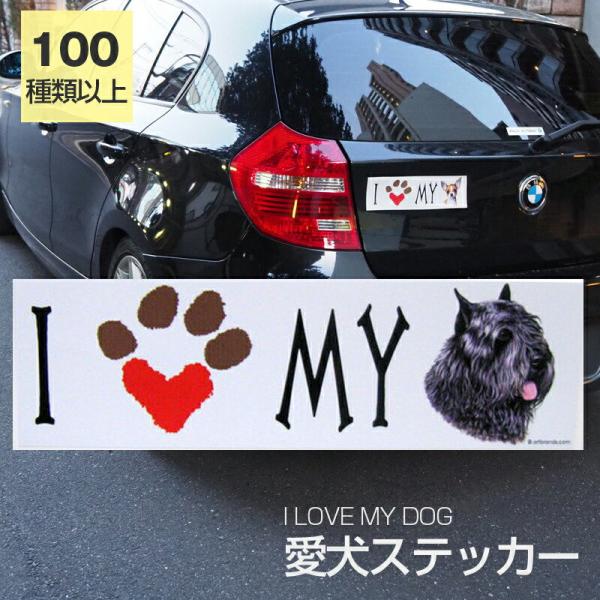 XebJ[ u[rGft_[X  h OXebJ[ ACu op[XebJ[ X[cP[XV[ V[ J[XebJ[  oCN hbO 