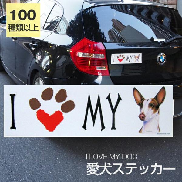 XebJ[ CrTnEh  h OXebJ[ ACu op[XebJ[ X[cP[XV[ V[ J[XebJ[  oCN hbO  ObY