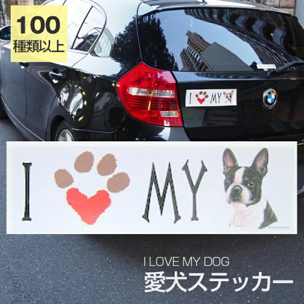 XebJ[ {XgeA  h OXebJ[ ACu op[XebJ[ X[cP[XV[ V[ J[XebJ[  oCN hbO  