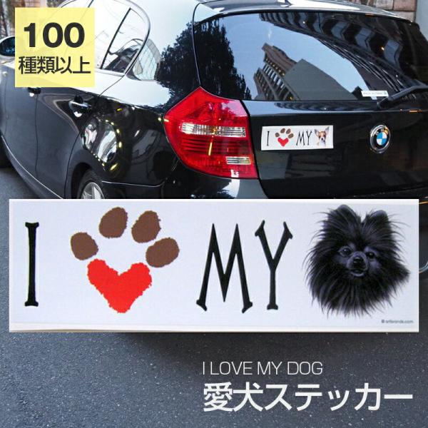 XebJ[ |jAiubNj  h OXebJ[ ACu op[XebJ[ X[cP[XV[ V[ J[XebJ[  oCN hbO