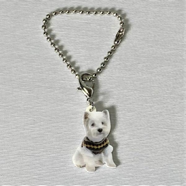 EGXgnChzCgeA EGXeB[EGXeB[ObY obO`F[ }XN`[ AN   Ck dog  G I[i[ObY