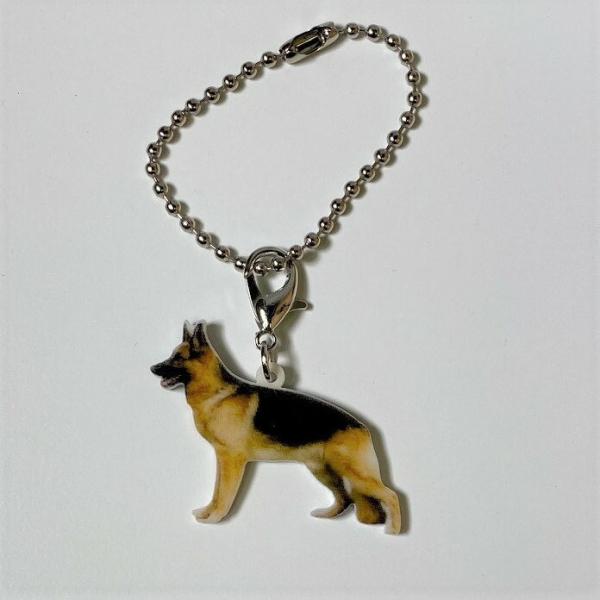 W[}VFp[hVFp[hObY obO`F[ }XN`[ AN   Ck dog  G I[i[ObY 킢 A L[`F[