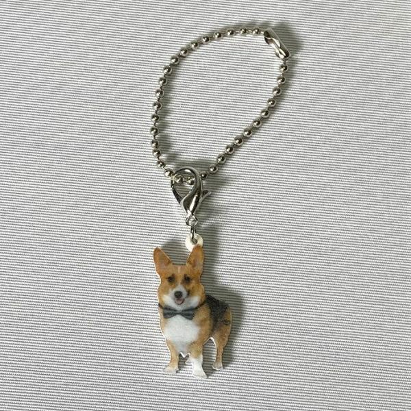 R[M[R[M[ObY obO`F[ }XN`[ AN   Ck dog  G I[i[ObY 킢 A L[`F[ vg