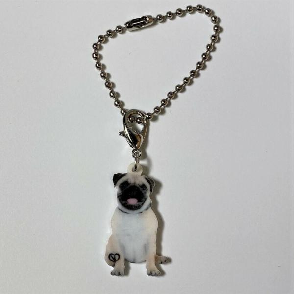 pOps[ pOObY obO`F[ }XN`[ AN   Ck dog  G I[i[ObY 킢 A L[`F[ vg