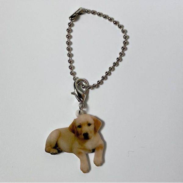 uh[go[ CG[u uh[g[o[ObY obO`F[ }XN`[ AN   Ck dog  G 킢 A