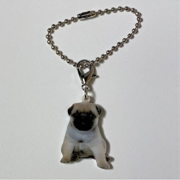 pOps[ pOObY obO`F[ }XN`[ AN   Ck dog  G I[i[ObY 킢 A L[`F[ vg ̓