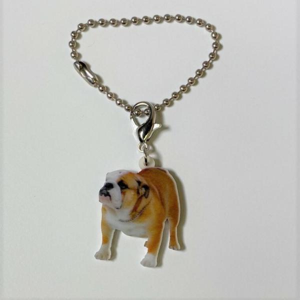 uhbO uhbOObY obO`F[ }XN`[ AN   Ck dog  G I[i[ObY 킢 A L[`F[ vg