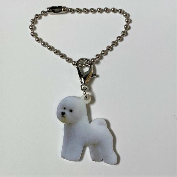 rVt[[rVObY obO`F[ }XN`[ AN   Ck dog  G I[i[ObY 킢 A L[`F[