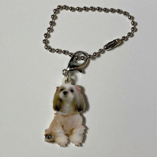 V[Y[V[YObY obO`F[ }XN`[ AN   Ck dog  G I[i[ObY 킢 A L[`F[ vg 