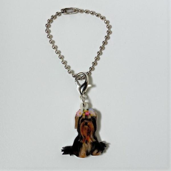 [NV[eA[L[ObY obO`F[ }XN`[ AN   Ck dog  G I[i[ObY 킢 A L[`F[