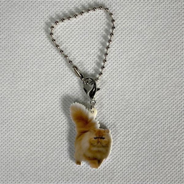 ˂ catlRObY obO`F[ }XN`[ AN L Lbg Lg CAT L lRG I[i[ObY 킢 A L[`F[ vg