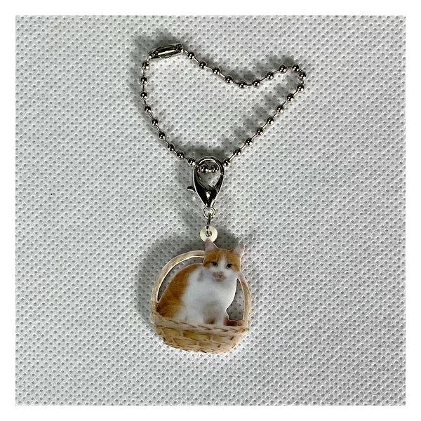 ˂ catlRObY obO`F[ }XN`[ AN L Lbg Lg CAT L lRG I[i[ObY 킢 A L[`F[ vg