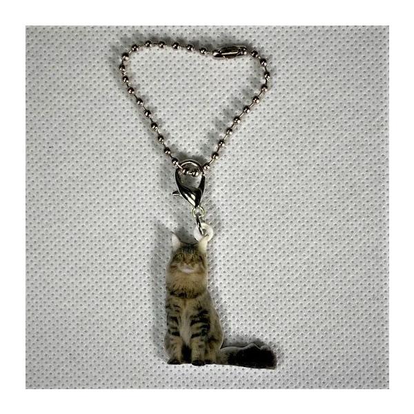 ˂ cat CN[lRObY obO`F[ }XN`[ AN L Lbg Lg CAT L lRG I[i[ObY 킢 A vg