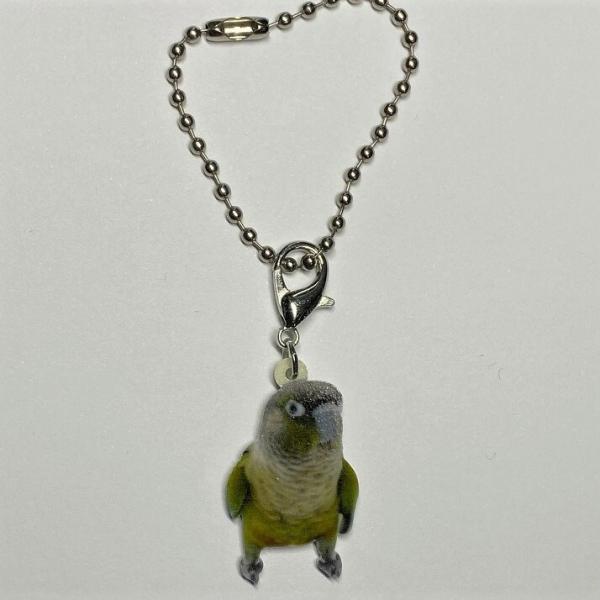 �E���R�C���R���O�b�Y �o�b�O�`�F�[�� �}�X�N�`���[�� �A�N���� �C���R �I�[�� ���� ���Ƃ� �g�� �Ƃ�G�� bird �o�[�h �I�[�i�[�O�b�Y ���킢�� �A�� �v�����g