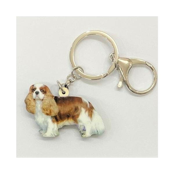 L[z_[ LoA LoAObY AN   Ck dog  G I[i[ObY 킢 A L[`F[ vg