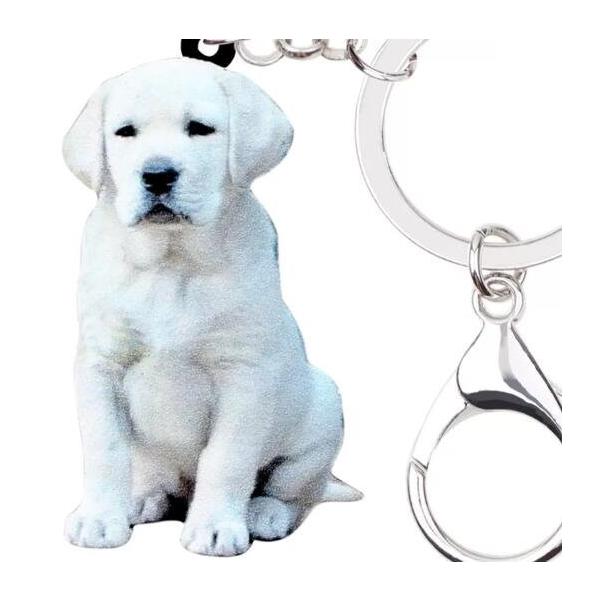 L[z_[ uh[go[ g[o[ ObY AN   Ck dog  G I[i[ObY 킢 A L[`F[ vg