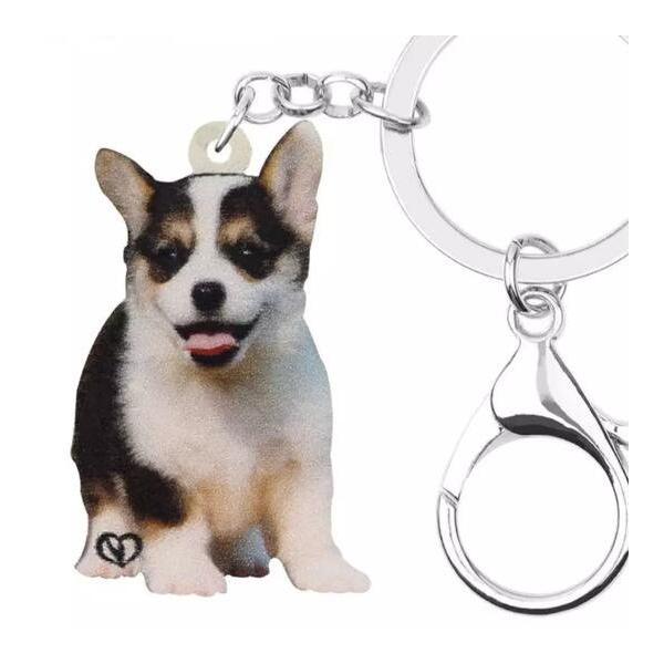 L[z_[ R[M[ R[M[ObY AN   Ck dog  G I[i[ObY 킢 A L[`F[ vg