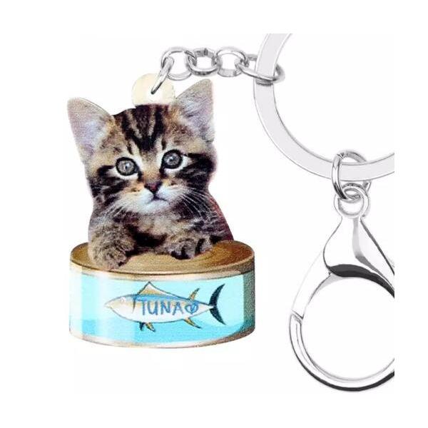 Lbg lR ʋlL L[z_[ lRObY AN L ˂ cat Lg eL L LG I[i[ObY 킢 A L[`F[ vg ci