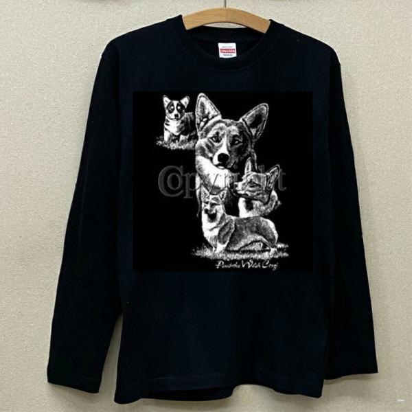 R[M[ izCgCNj  tVceB[ ێ^ N[lbN 100% gbvX  fB[X Y Vv 킢  hbO  