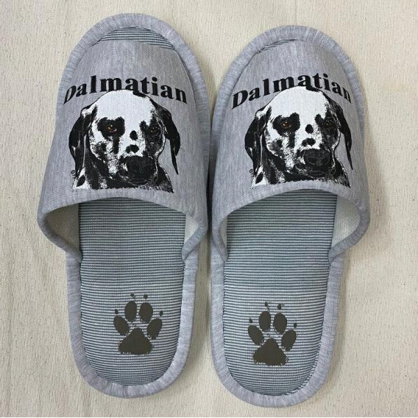 _VA Xbp 􂦂 jp O[ XgCv ې EHbVu [V[Y 킢  qp   V It