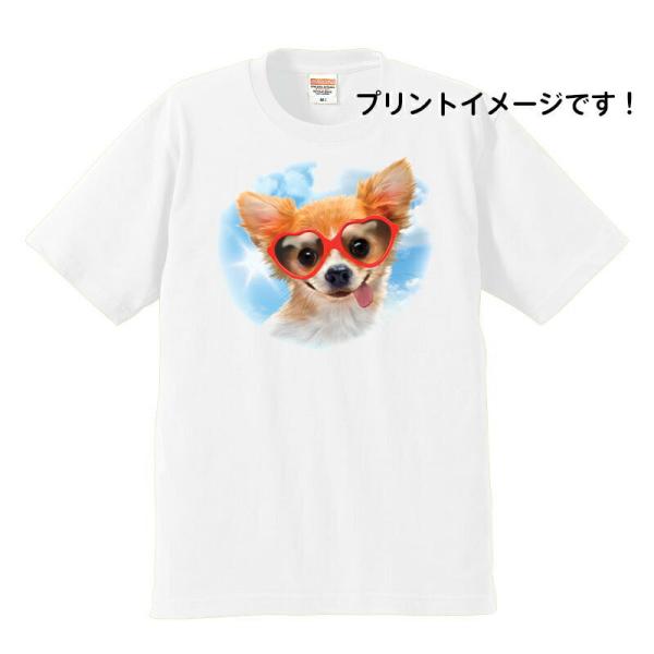 ` tVc  Jbg\[ ێ^ N[lbN 100% Rbg gbvX  fB[X Y Vv 킢  Cxg  hbO 