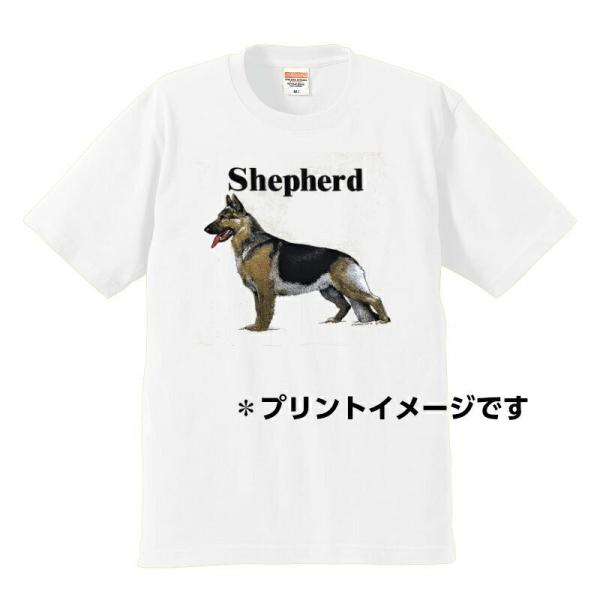 W[}VFp[h tVc  Jbg\[ ێ^ N[lbN 100% Rbg gbvX  fB[X Y Vv 킢  Cxg 