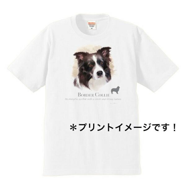 {[_[R[ tVc  Jbg\[ ێ^ N[lbN 100% Rbg gbvX  fB[X Y Vv 킢  Cxg  