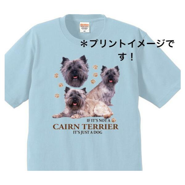 PA[eA PAeA (NEW) tVc  Jbg\[ ێ^ N[lbN 100% Rbg gbvX  fB[X Y Vv 킢 