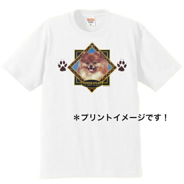 |jA tVc  Jbg\[ ێ^ N[lbN 100% Rbg gbvX  fB[X Y Vv 킢  Cxg  