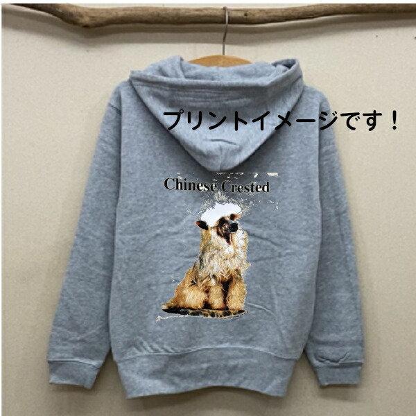 `Cj[YNbZbh `CN XEFbg tWbvp[J[ iPjcnf hbO vg I[i[YObY 킢 Mtg It LOi