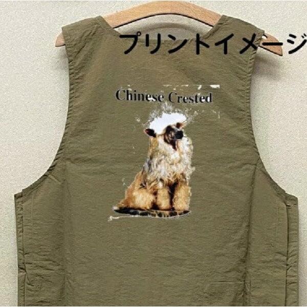 `Cj[YNbZbh `CNObY g~OGv iCbV[ e{^ H g}[ ۈm O| fB[X Y Vv