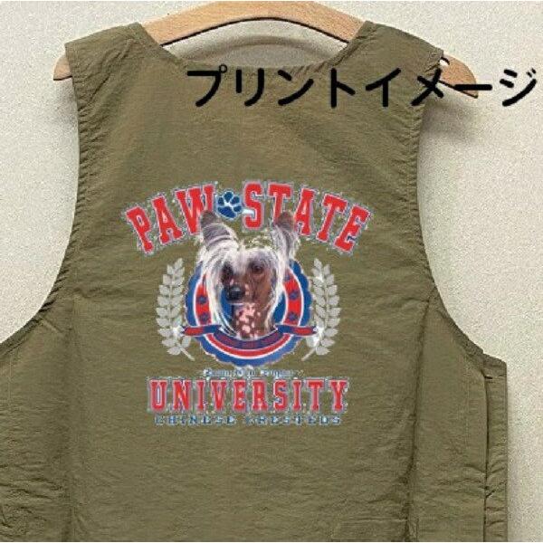 `Cj[YNbZbh `CNObY ijo[Tj g~OGv iCbV[ e{^ H g}[ ۈm O| fB[X