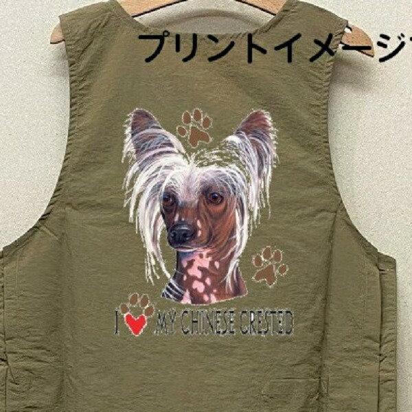 `Cj[YNbZbh `CNObY in[gj g~OGv iCbV[ e{^ H g}[ ۈm O| fB[X 