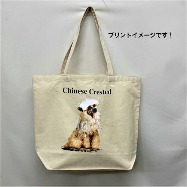 `Cj[YNbZbh `CN g[gobO GRobO }CobO킢  fB[X Y jp a4 傫 LoX hbO  