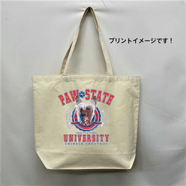 `Cj[YNbZbh `CN g[gobO GRobO }CobO킢  fB[X Y jp a4 傫 LoX hbO  