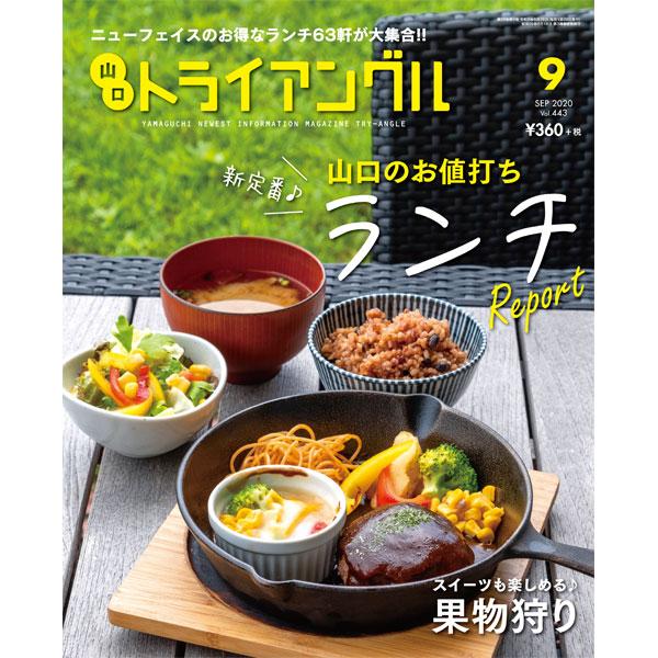 タウン情報 トライアングル年9月号 08 トライアングルストア 通販 Yahoo ショッピング