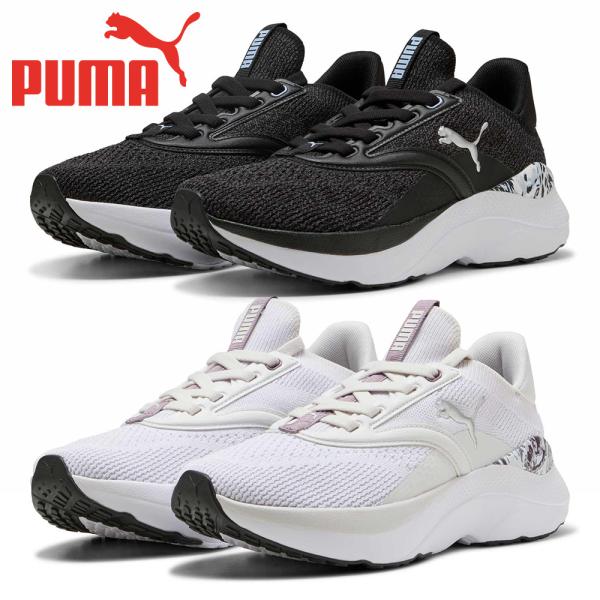 プーマ スポーツ レディース ソフトライド メイブ ミスティック 311970 PUMA SOFTRIDE