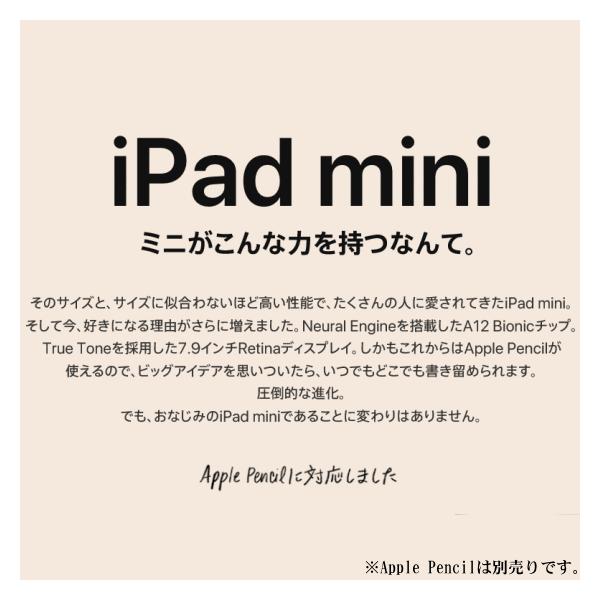 Apple アップル Ipad Mini 5 Muqw2j Mini A Ipad 7 9インチ 第5世代 Ipad 19年春モデル スペースグレイ Wi Fi 64gb Retinaディスプレイ 7 9型 Muqw2j タプレットpc トライスリー
